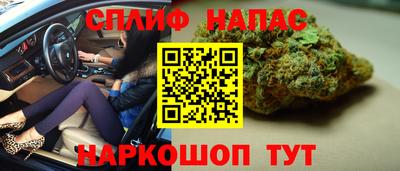 СК Севастополь