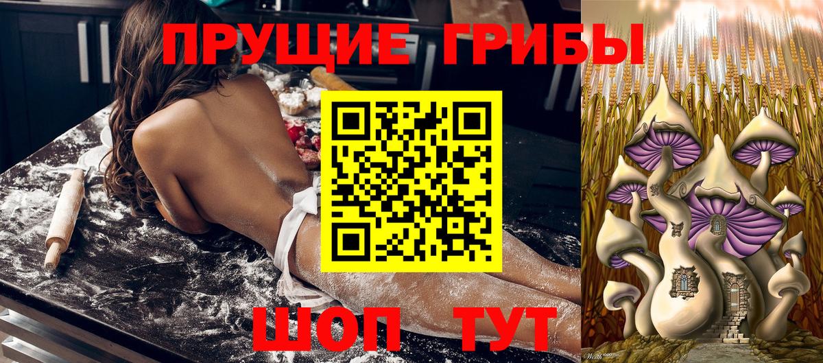 Псилоцибиновые грибы GOLDEN TEACHER  Вход с VPN  Острогожск 